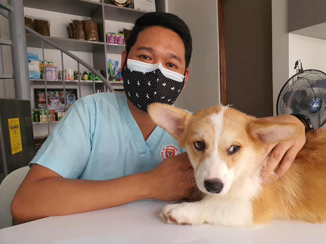 Pet grooming and boarding facility